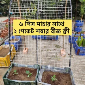 Big Macha combo  Package <br> বড মাচা কম্ব পেকেজ