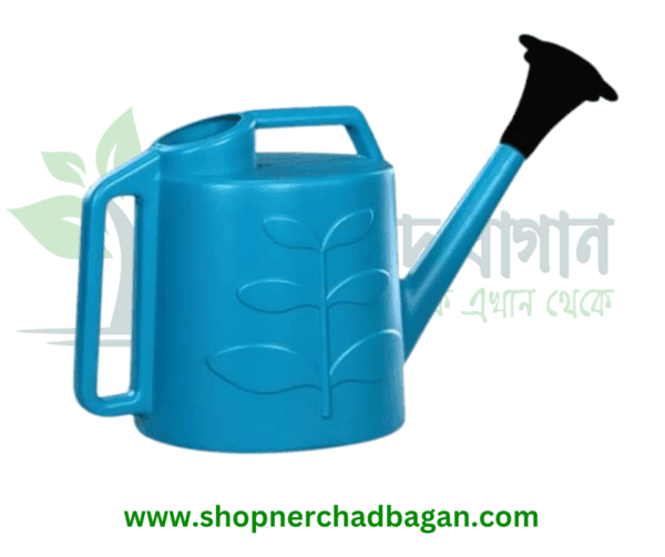 পানির ঝার