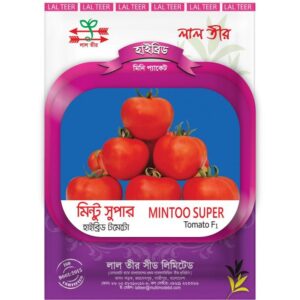 হাইব্রিড টমেটো