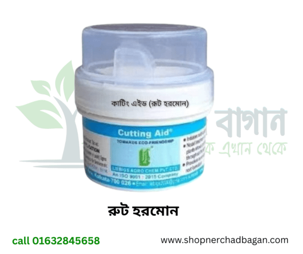 রুট হরমন