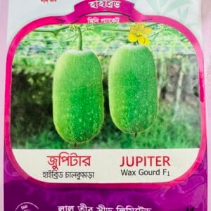হাইব্রিড চালকুমড়া