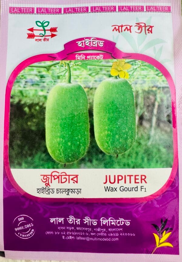 হাইব্রিড চালকুমড়া