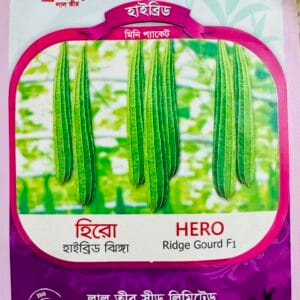 হাইব্রিড ঝিঙ্গা