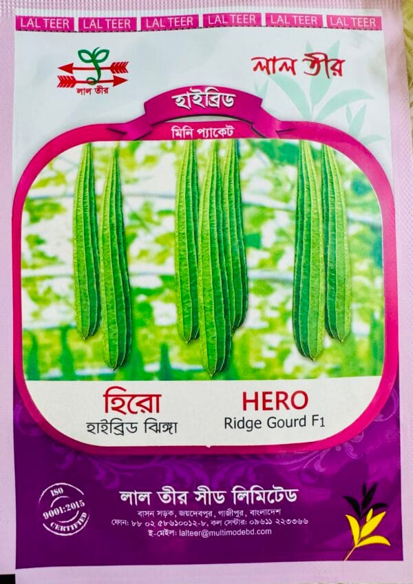 হাইব্রিড ঝিঙ্গা