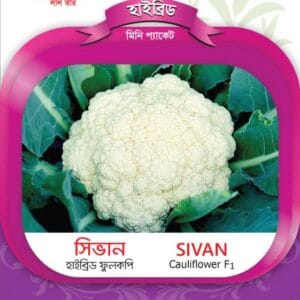 হাইব্রিড ফুলকপি