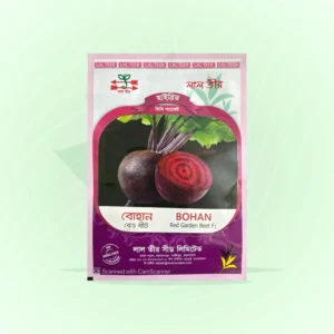 Red Garden Beet Seeds <br> লাল বিট রুট বীজ