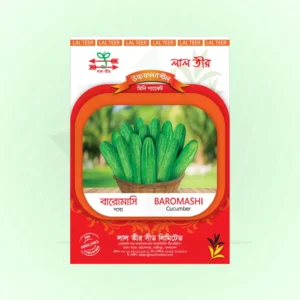 Baromashi cucumber Seeds <br> বারমাসি  শসা বীজ