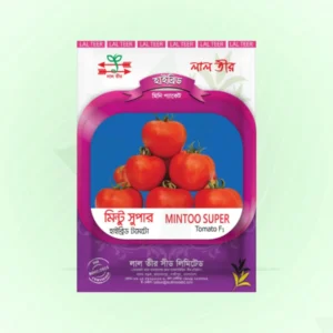 Hybrid Tomato Seeds <br> হাইব্রিড টমেটো বীজ